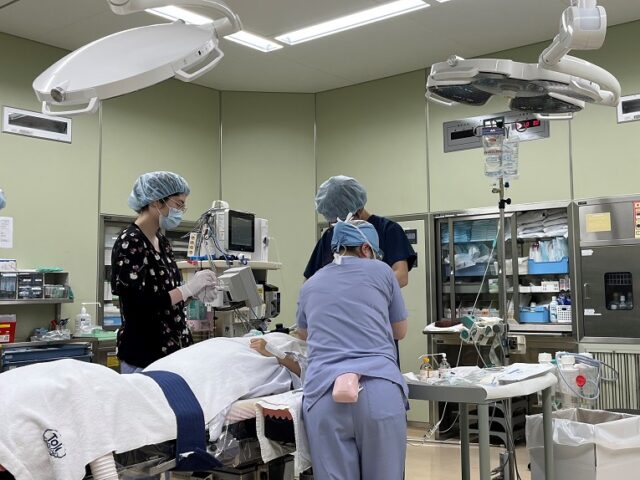 手術室 オペ室 ope室